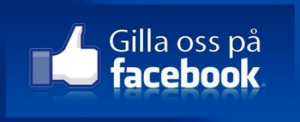Gilla Ståhlgrens VVS i Jönköping & Huskvarna på Facebook - Knapp
